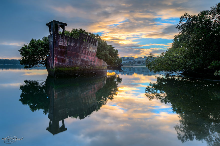 Floating forest on a 102-year-old shipwreck in Sydney's calm waters at sunset.