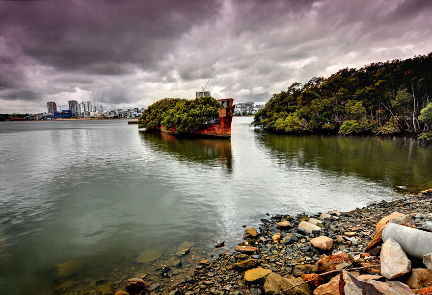 Floating forest on a 102-year-old ship in Sydney surrounded by water and trees under a cloudy sky.