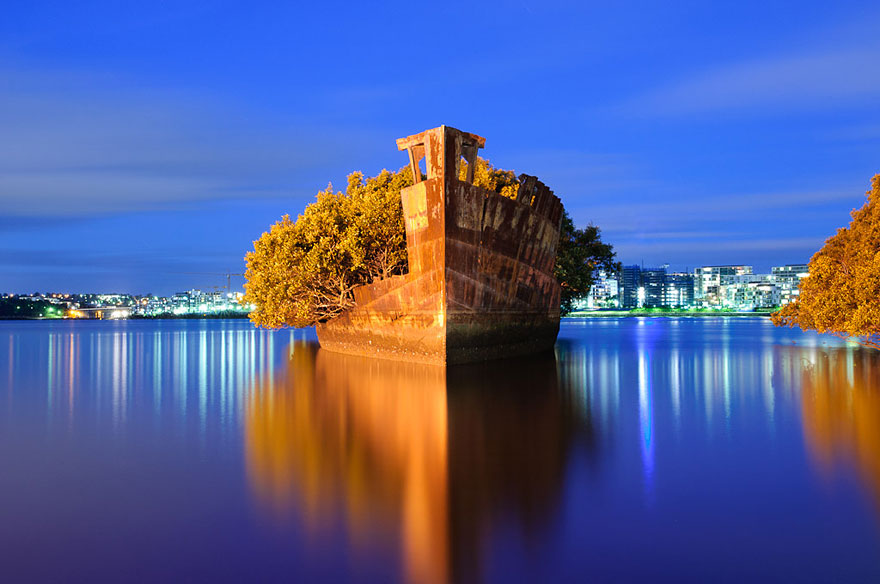Floating forest on a 102-year-old ship in Sydney harbor at night. Floating forest on a 102-year-old ship in Sydney harbor at night.