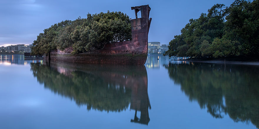Floating forest on a 102-year-old shipwreck in Sydney's serene waters, surrounded by lush greenery and calm reflections.