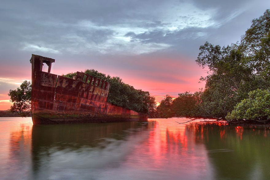 Floating forest on a 102-year-old ship in Sydney at sunset, surrounded by lush greenery and calm waters. Floating forest on a 102-year-old ship in Sydney at sunset, surrounded by lush greenery and calm waters.
