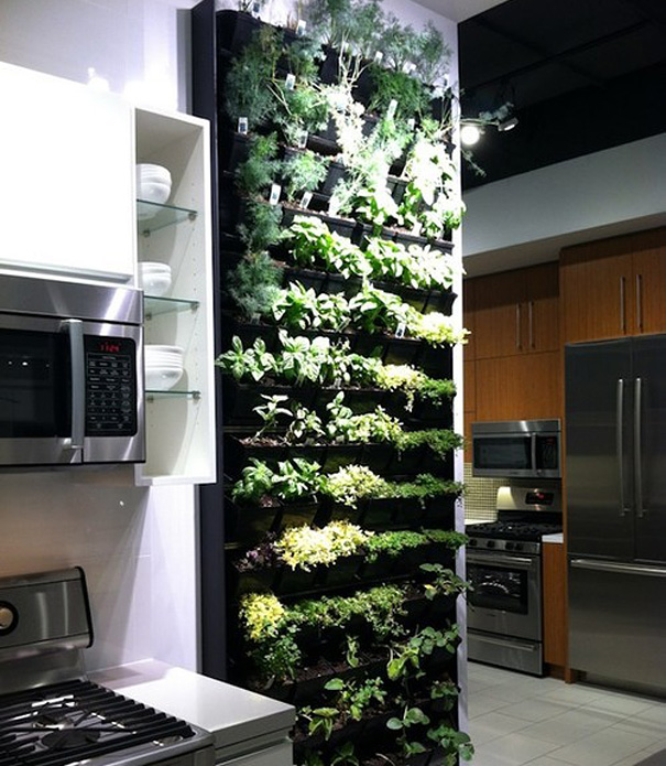 Vertical indoor garden in a modern kitchen, showcasing creative design ideas to make your house awesome and green. Vertical indoor garden in a modern kitchen, showcasing creative design ideas to make your house awesome and green.