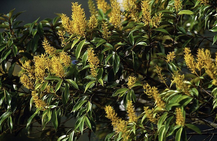 Can You Spot the Hidden Animals in These Photos by Art Wolfe?