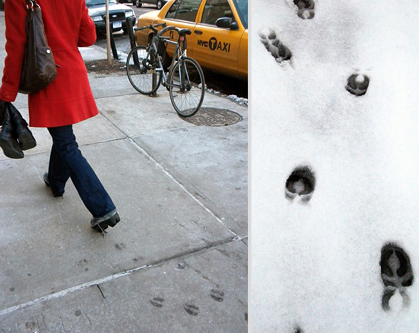 Animal Footprint Shoes by Maskull Lasserre