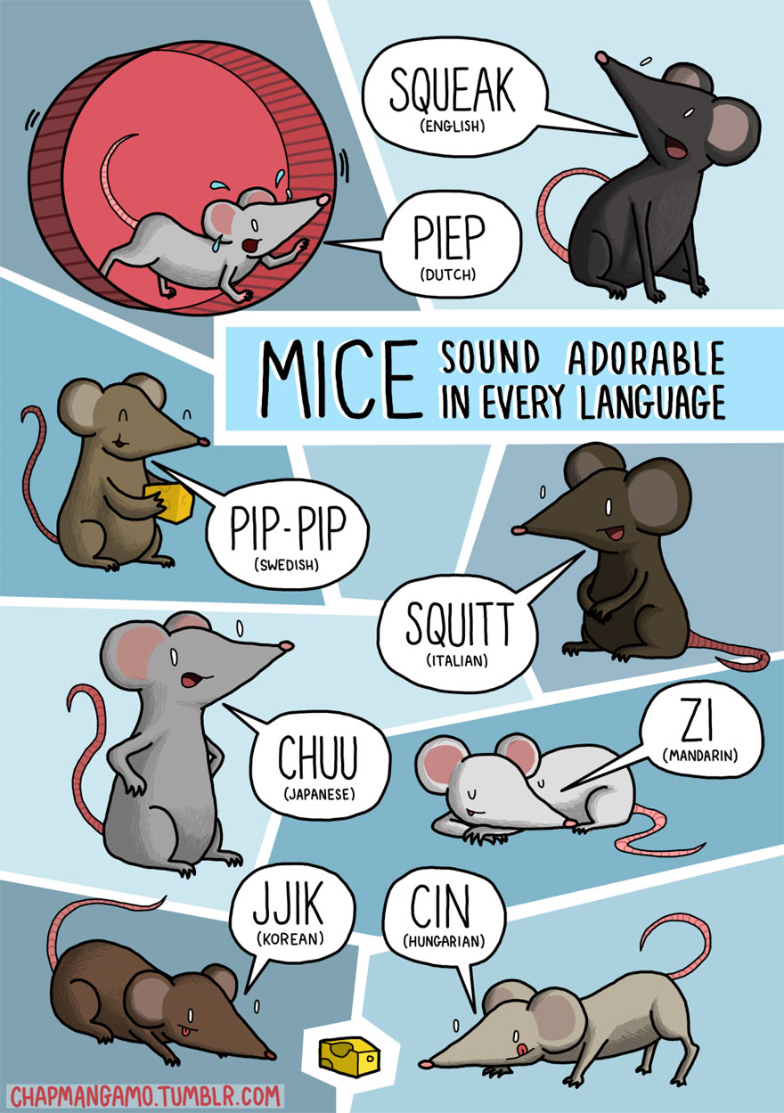 How Do Animals Sound In Different Languages?