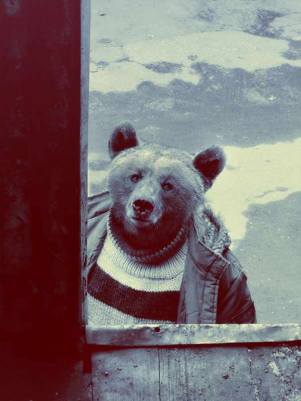 Animals Dressed As People By Cristoph Meyer