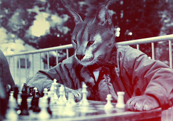 Animals Dressed As People By Cristoph Meyer