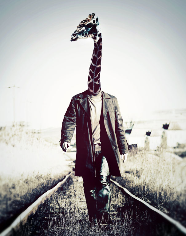 Animals Dressed As People By Cristoph Meyer Animals Dressed As People By Cristoph Meyer