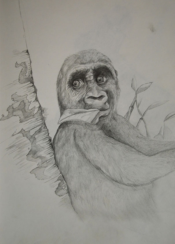 Artist Shows his Progression from 2 Years old to 25 Artist Shows his Progression from 2 Years old to 25