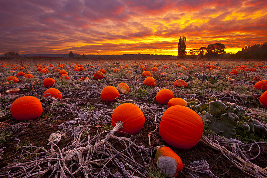 12 Stunning Pictures Celebrating The Beautiful Colors Of Fall 12 Stunning Pictures Celebrating The Beautiful Colors Of Fall