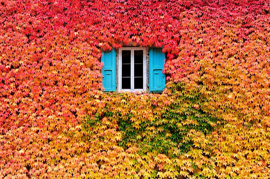 12 Stunning Pictures Celebrating The Beautiful Colors Of Fall 12 Stunning Pictures Celebrating The Beautiful Colors Of Fall