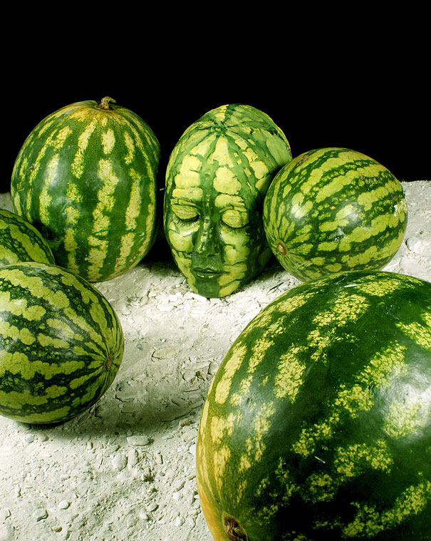 Amazing Nature Inspired Body Art Illusions by Johannes Stoetter