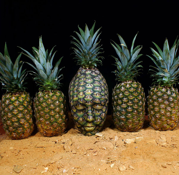 Amazing Nature Inspired Body Art Illusions by Johannes Stoetter