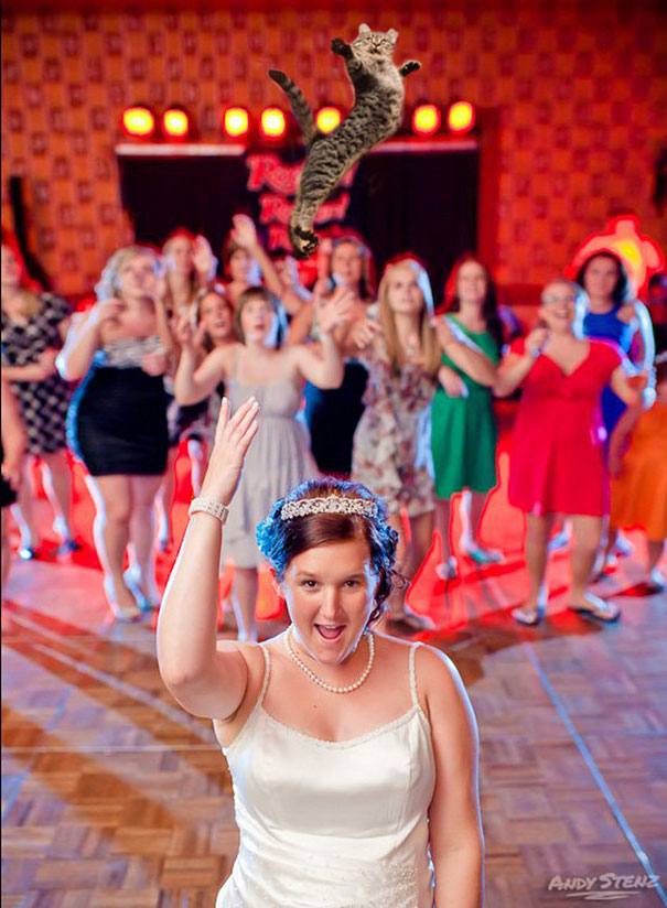 Bride's Bouquets Replaced By Flying Cats In The Latest Wedding Photography Trend