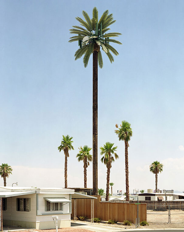 Cell Phone Towers Disguised as Trees