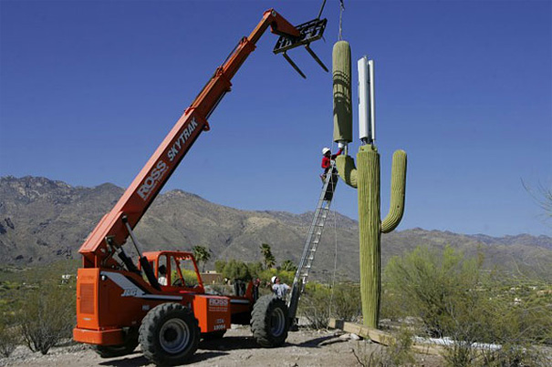 Cell Phone Towers Disguised as Trees