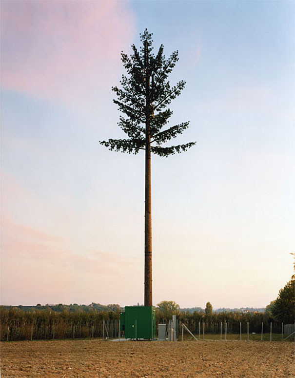 Cell Phone Towers Disguised as Trees