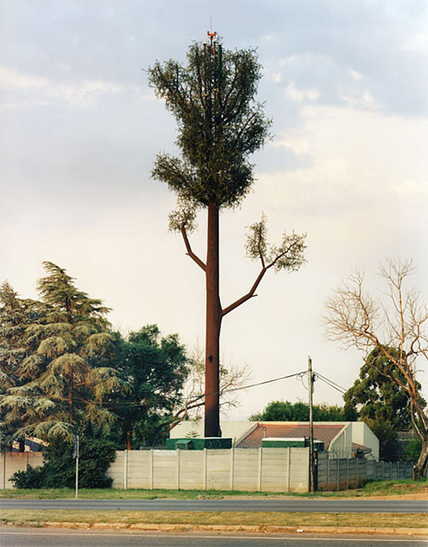 Cell Phone Towers Disguised as Trees