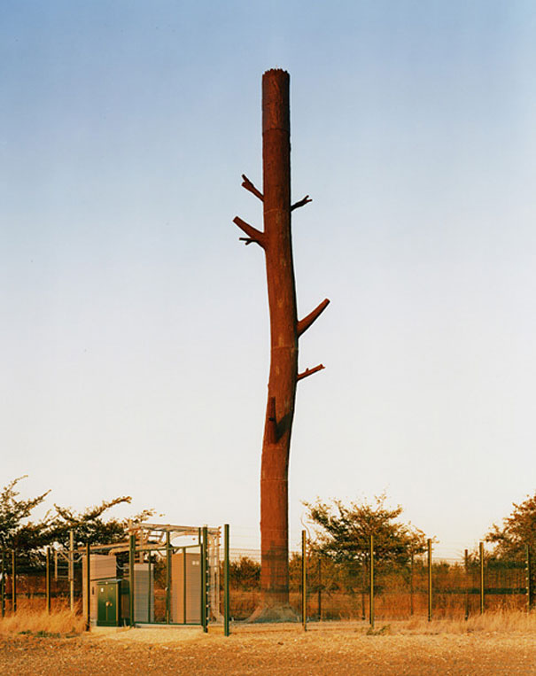 Cell Phone Towers Disguised as Trees Cell Phone Towers Disguised as Trees