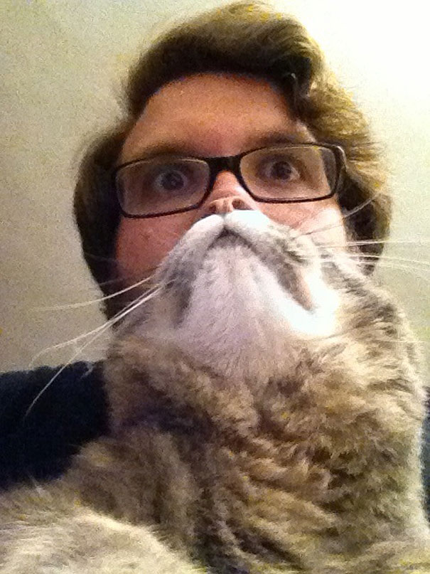 ‘Cat Beard’ Craze Takes Internet By Storm ‘Cat Beard’ Craze Takes Internet By Storm
