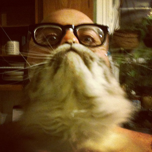 &lsquo;Cat Beard&rsquo; Craze Takes Internet By Storm 