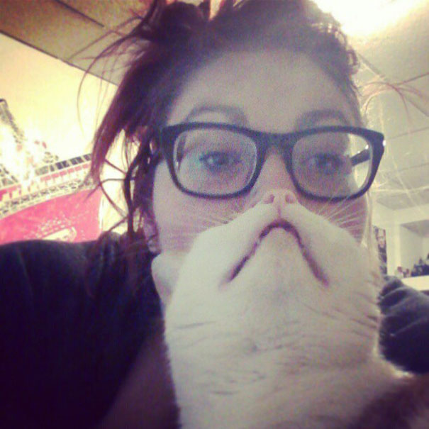 &lsquo;Cat Beard&rsquo; Craze Takes Internet By Storm 