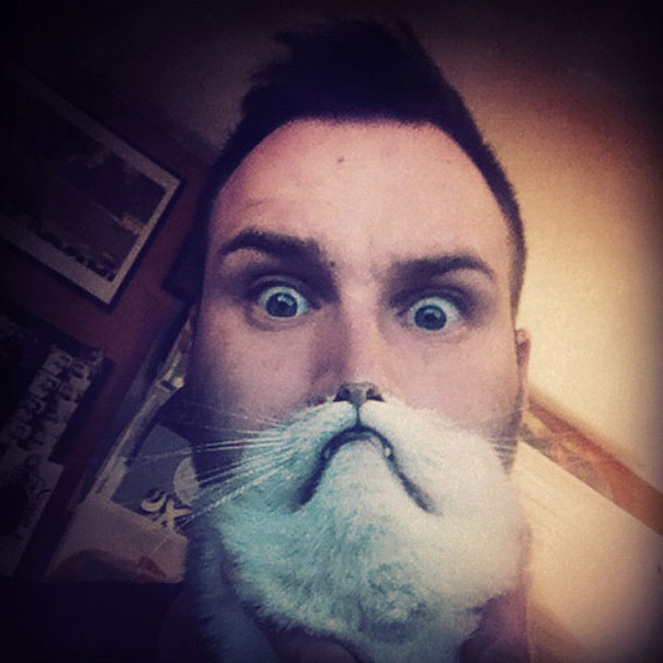 ‘Cat Beard’ Craze Takes Internet By Storm ‘Cat Beard’ Craze Takes Internet By Storm