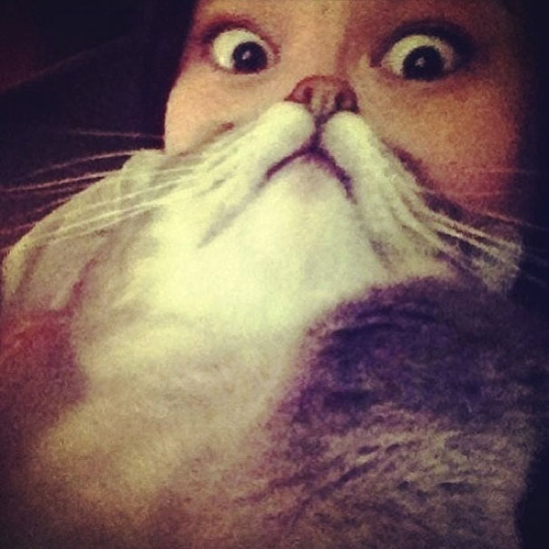 ‘Cat Beard’ Craze Takes Internet By Storm ‘Cat Beard’ Craze Takes Internet By Storm