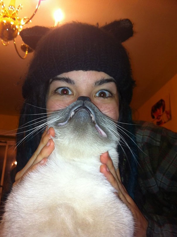 ‘Cat Beard’ Craze Takes Internet By Storm ‘Cat Beard’ Craze Takes Internet By Storm