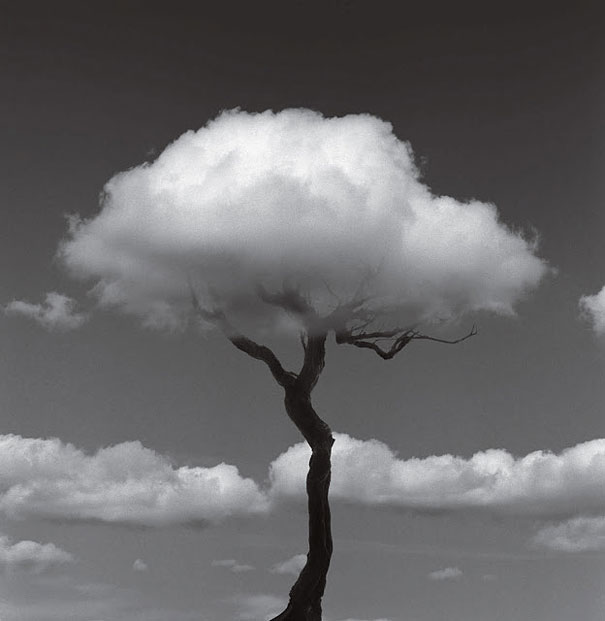 Black and White Illusions by Chema Madoz