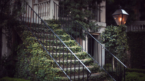 Cinemagraphs by Jamie Beck and Kevin Burg Cinemagraphs by Jamie Beck and Kevin Burg