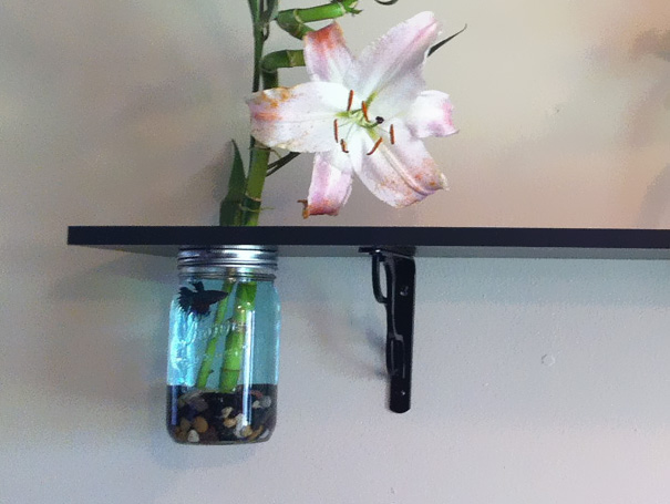 22 Unusual and Creative Aquariums 22 Unusual and Creative Aquariums