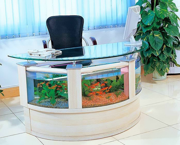 22 Unusual and Creative Aquariums 22 Unusual and Creative Aquariums