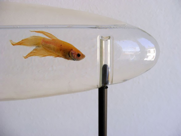 22 Unusual and Creative Aquariums 22 Unusual and Creative Aquariums