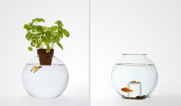 22 Unusual and Creative Aquariums