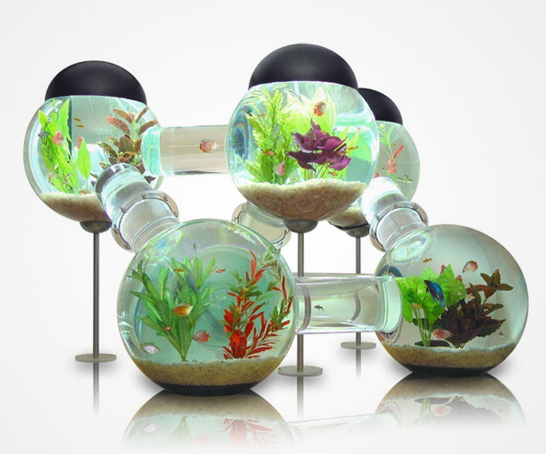 22 Unusual and Creative Aquariums