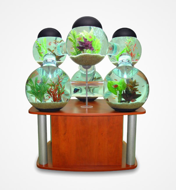 22 Unusual and Creative Aquariums