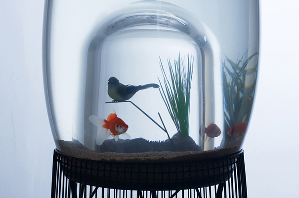 22 Unusual and Creative Aquariums