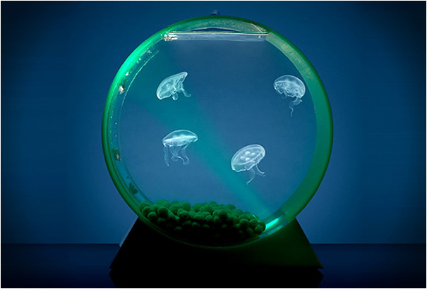 22 Unusual and Creative Aquariums