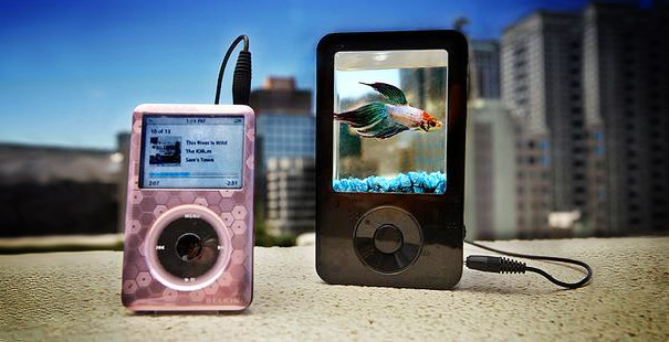 22 Unusual and Creative Aquariums