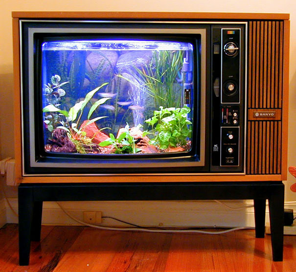 22 Unusual and Creative Aquariums 22 Unusual and Creative Aquariums