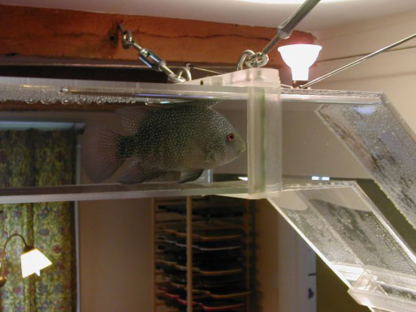 22 Unusual and Creative Aquariums 22 Unusual and Creative Aquariums