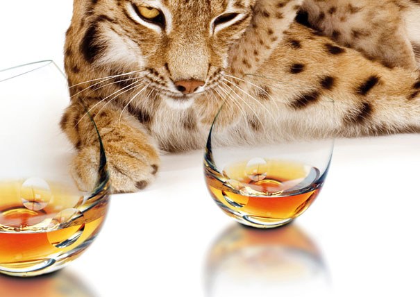 22 Cool And Creative Drinking Glasses