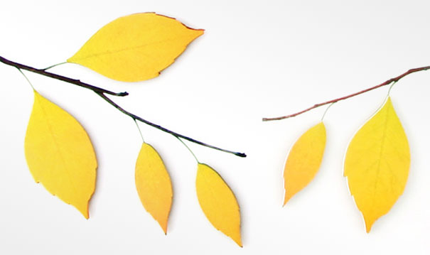 22 Things to Bring Fun Back to Your Workplace