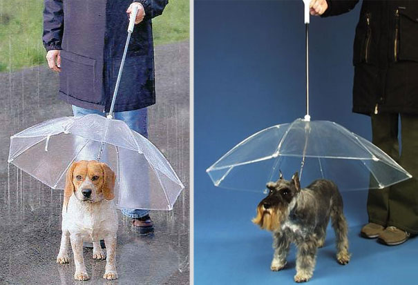 15 Cool And Creative Umbrellas 15 Cool And Creative Umbrellas