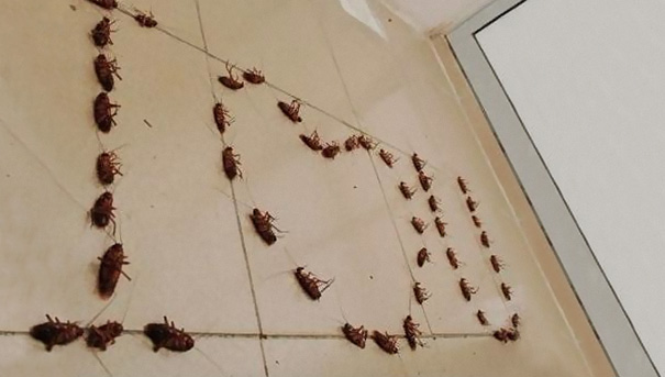 8 Extraordinary Ways To Say I Love You