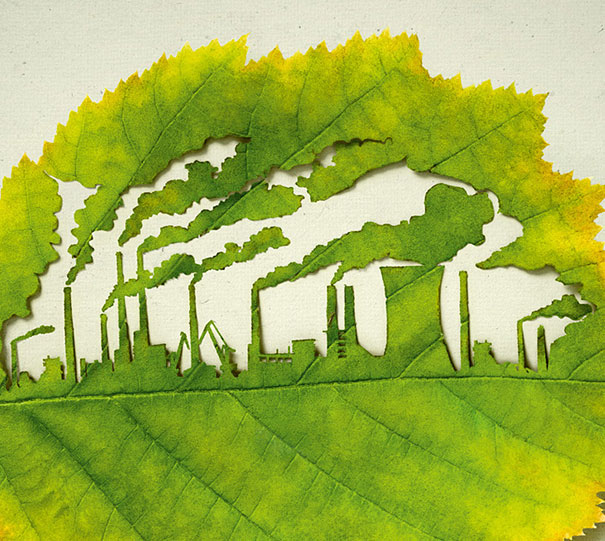 Cut-Away Leaf Art by Lorenzo Duran Cut-Away Leaf Art by Lorenzo Duran