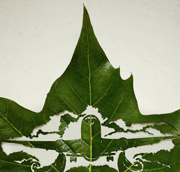 Cut-Away Leaf Art by Lorenzo Duran