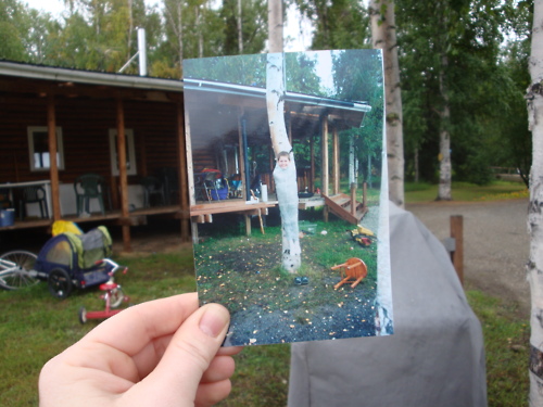 21 Heart Touching Dear Photographs