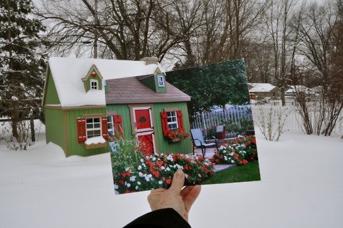 21 Heart Touching Dear Photographs